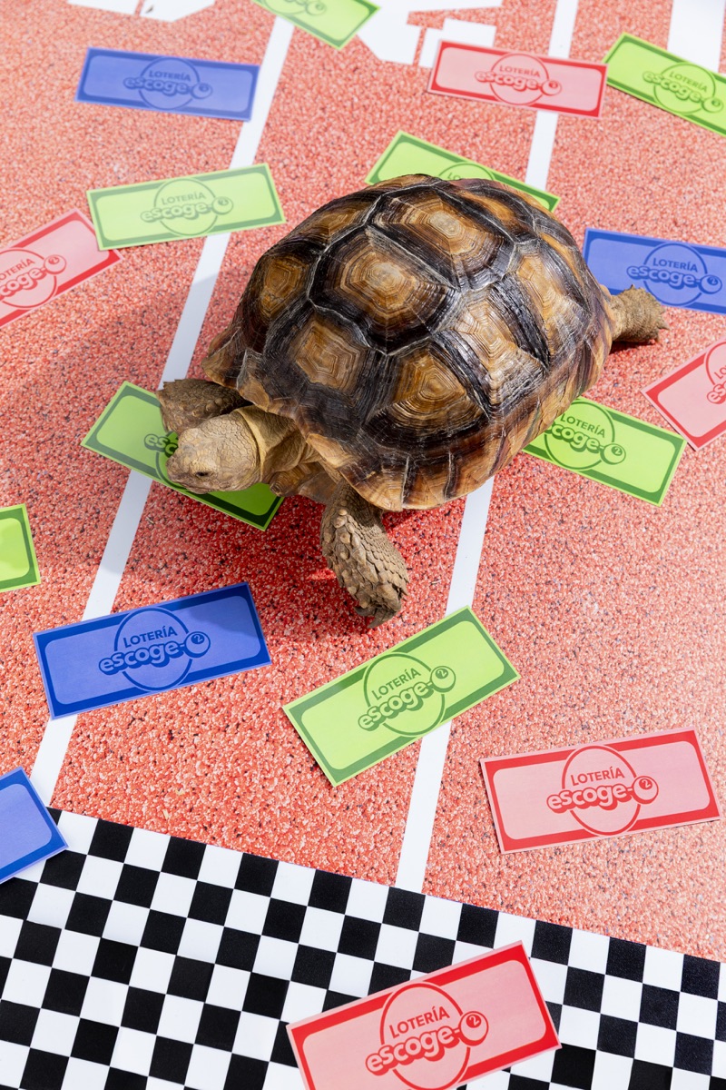 Lotería — Fotografía Comercial